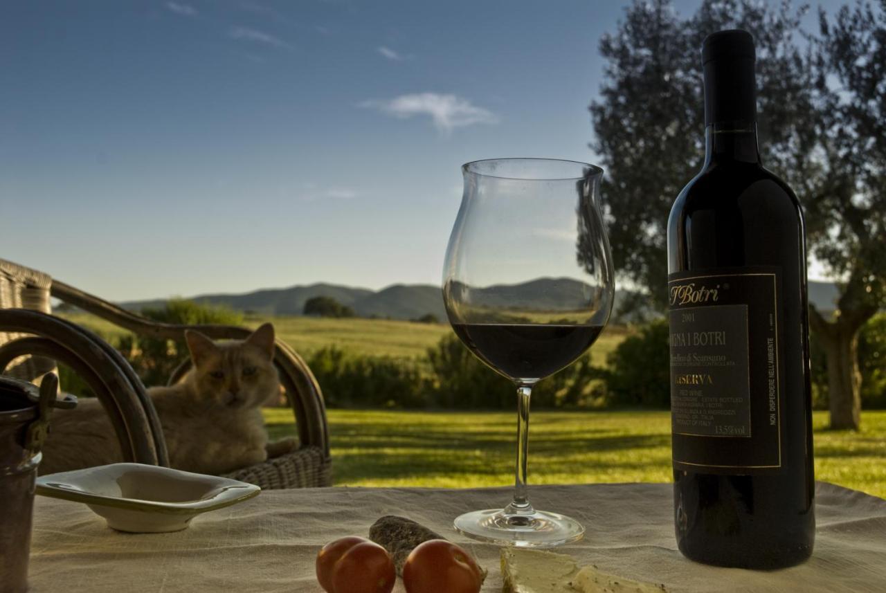 Bio Il Melograno Di Banditella Ristorante