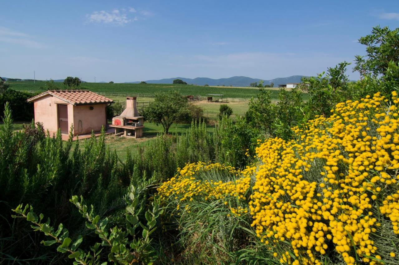 Bio Il Melograno Di Banditella Ristorante