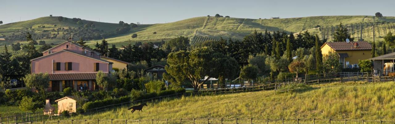 Farm stay Bio Il Melograno Di Banditella Ristorante